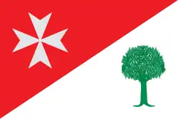 Drapeau de Binaced