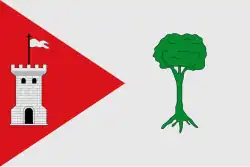 Drapeau de Pinet