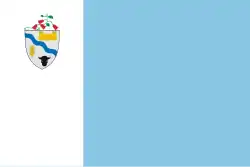 Drapeau de Río Buenoville et commune du Chili