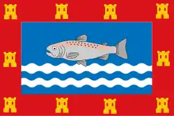 Drapeau de Riaza