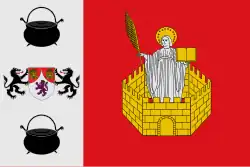 Drapeau de San Pelayo