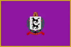 Drapeau de Santurzi