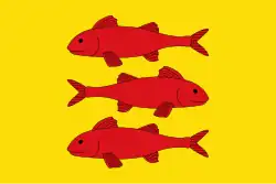 Drapeau de Vallmoll