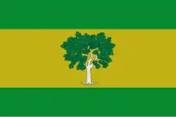 Drapeau de Higueras