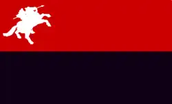 Drapeau de Acarigua
