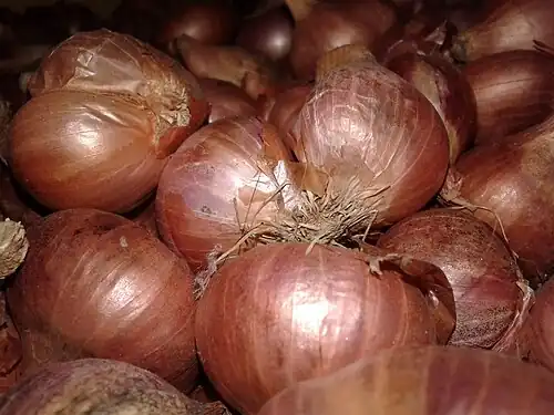 Oignons.