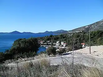 Banići