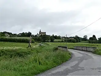 Banize