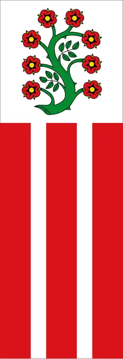 Drapeau de Selfkant