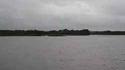 Étendue d'eau avec une forêt en arrière plan.
