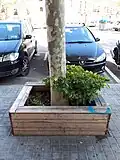 Siège en pied d'arbre (Barcelone).
