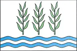 Drapeau de Barchov