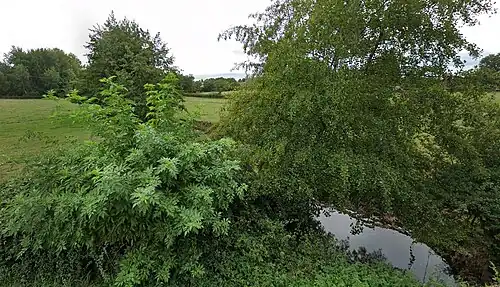 Le Bardon, affluent de l'Arçon,au pont Rigon (route des Varennes)