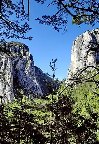 Gorges de l'Artuby à Bargème.