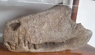 Description de cette image, également commentée ci-après