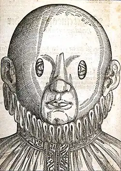 Folio 15 recto