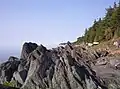 Vue des abords du fleuve Saint-Laurent à la hauteur de Saint-Simon-de-Rimouski.