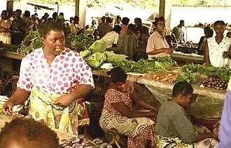 Basankusu