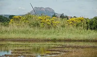 Base Nature François Léotard.