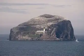 Bass Rock vu depuis le château de Tantallon.