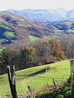 Pâturages de Basse-Navarre.