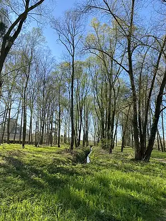 Bassin n°2