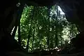 Une grotte, repaire de chauves-souris et forêt tropicale humide avec des arbres de 15 à 25&nbsp;m de haut.