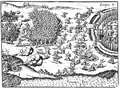 Ulrich Schmidl, bataille de Lambaré (Paraguay), 1537