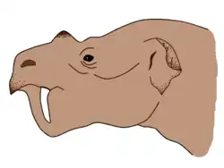 Bathyopsis
