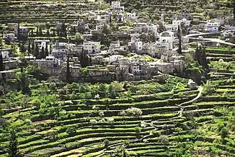 Image illustrative de l’article Battir