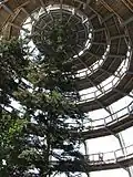 La rampe d'accès vers le sommet des arbres