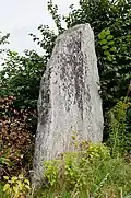 Vue du menhir no&nbsp;2 en 2012.