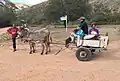 Transport traditionnel dans la région