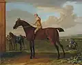 Bay Wanton, sur Newmarket Heath avec jockey, 1725, par John Wootton, peut-être un fils de Bay Bolton.