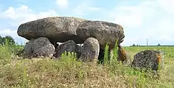 Image illustrative de l’article Pierre-Levée des Landes