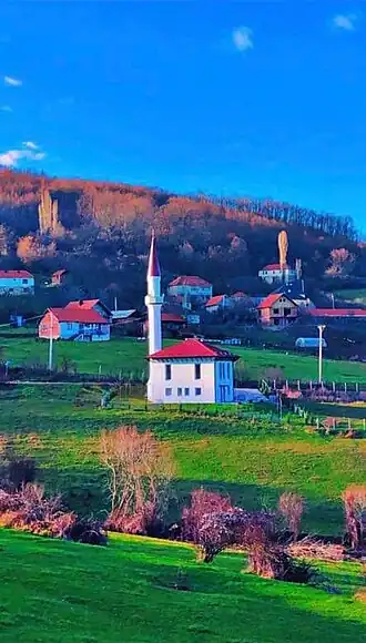 Benčuk