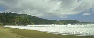 Plage de sable au premier plan et forêt vierge en arrière plan.