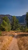 Un chemin herbeux (août 2021).