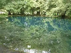 La Grande fontaine