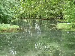 Le Miroir des fées