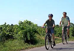 VTT en famille.