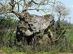 Le dolmen de Peyre Nègre.