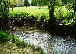 La Beauronne en limite du golf de Saltgourde.