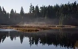 Le Beaver Lake du parc Stanley sert de lieu de refuge pour Mystère et Cie.