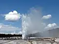 Éruption en été.