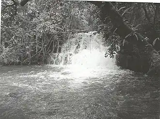 Babungo (Babessi)