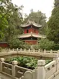 Vue d'un bassin de lotus
