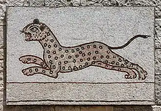 Léopard, Palais de Beiteddine au Liban.