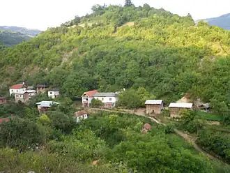 Bela (Pirot)