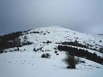 Sommet du Belchou (1 130 m) sous la neige depuis Othamonho (762 m).